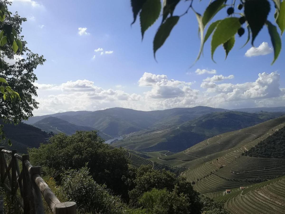 Douro Valley - Casa Da Praca Ervedosa do Douro Екстериор снимка
